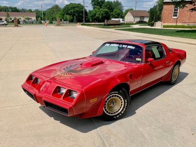 1981-pontiac-trans-am.jpeg