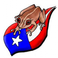 el coqui412