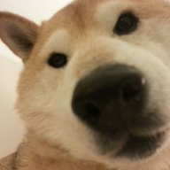 shibadekobe