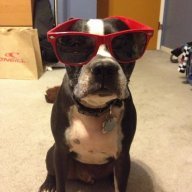mikedizzzo