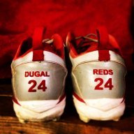 doogie24