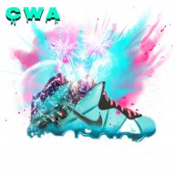 cwa0309