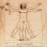 vitruvian man