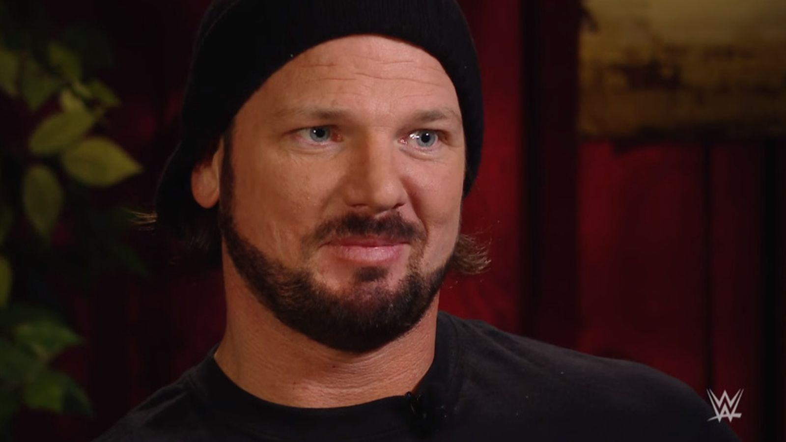 AJ_Styles.0.0.jpg