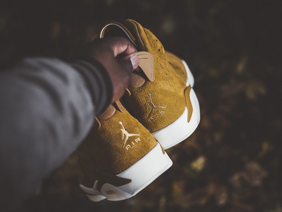 air-jordan-6-wheat-on-feet-4.jpg