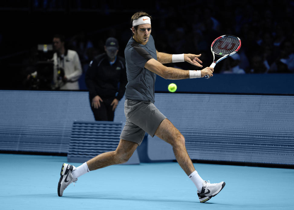 Juan_Martn_Del_Potro_Australian_Open_2013_detail.jpg