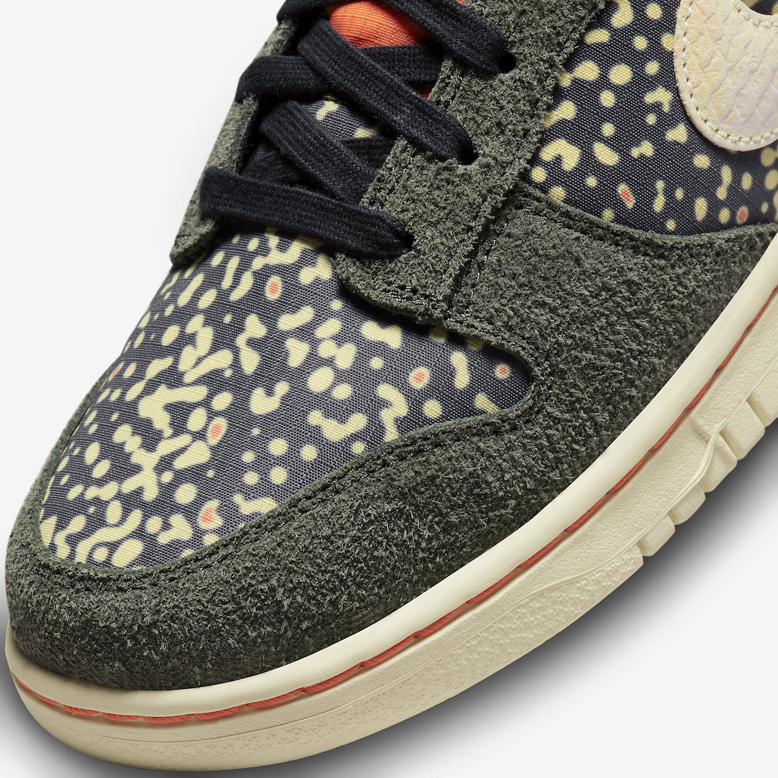 Nike Dunk Low Rainbow Trout FN7523-300 Release Date