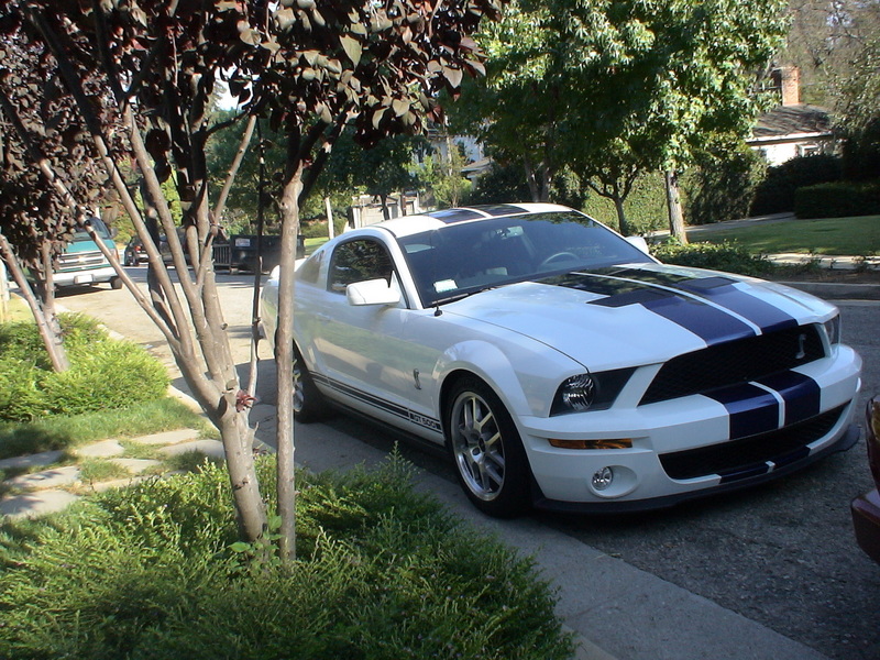 10234-2007-Ford-Mustang-Shelby-GT500.jpg