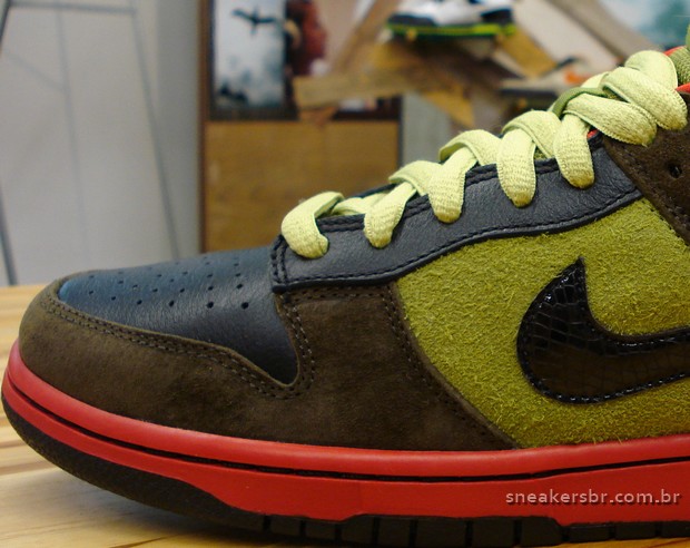 nike-dunk-sb-low-fall09-green-red-3.jpg