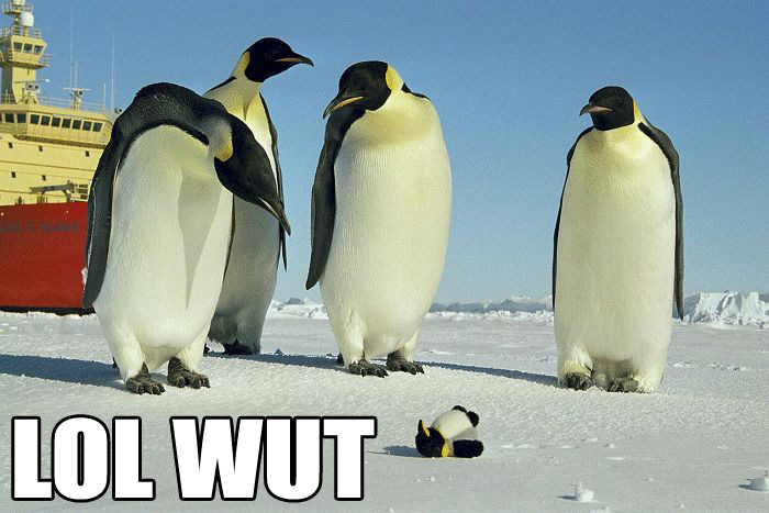 real_penguins_toy_penguin_lol_wut.jpg