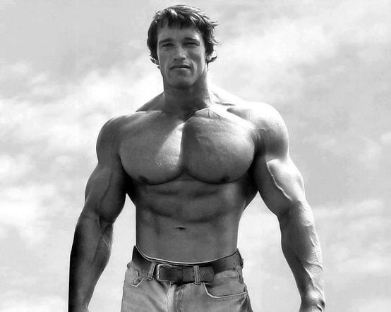 arnold-schwarzenegger-young-photos-422.jpeg