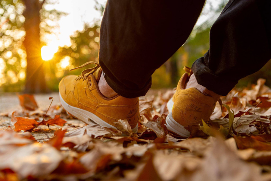 Nike-Air-Max-One-blé-beige-clair-et-marron-on-feet-2.jpg