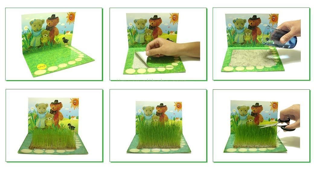 Grass-Growing-Card.jpg