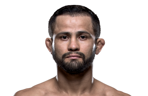 FORMIGA_JUSSIER.png