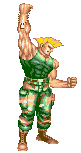 guile-win-superturbo-noanim.gif