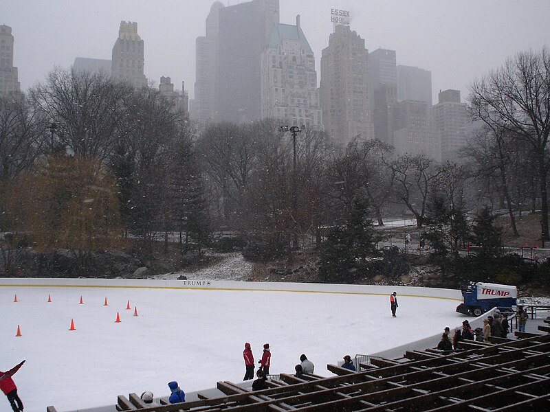 800px-Wollman_Memorial_skating_rink.jpg