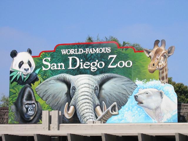 238SanDiegoZoo.5.JPG