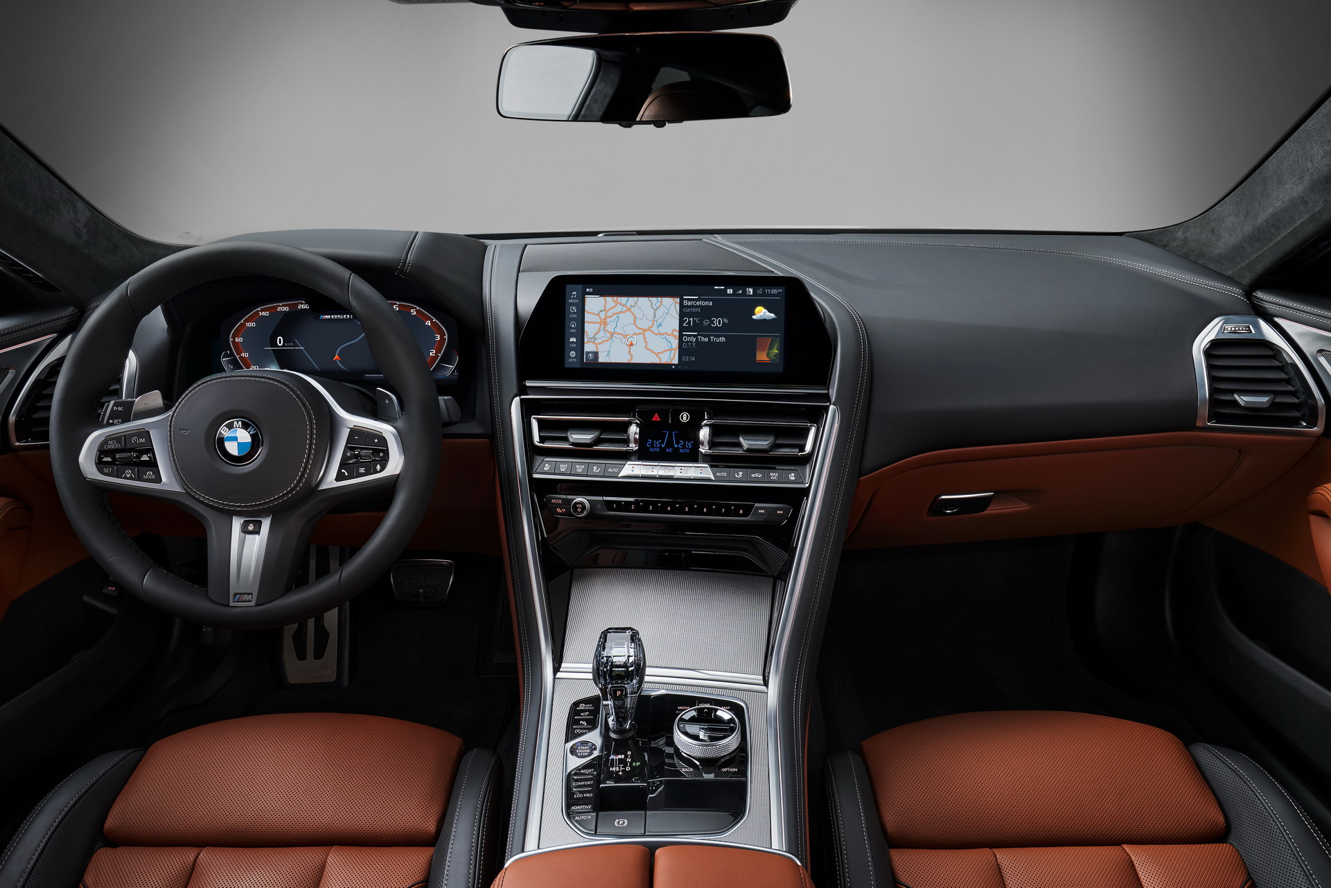 7d02c5ce-bmw-8-series-2019-31.jpg