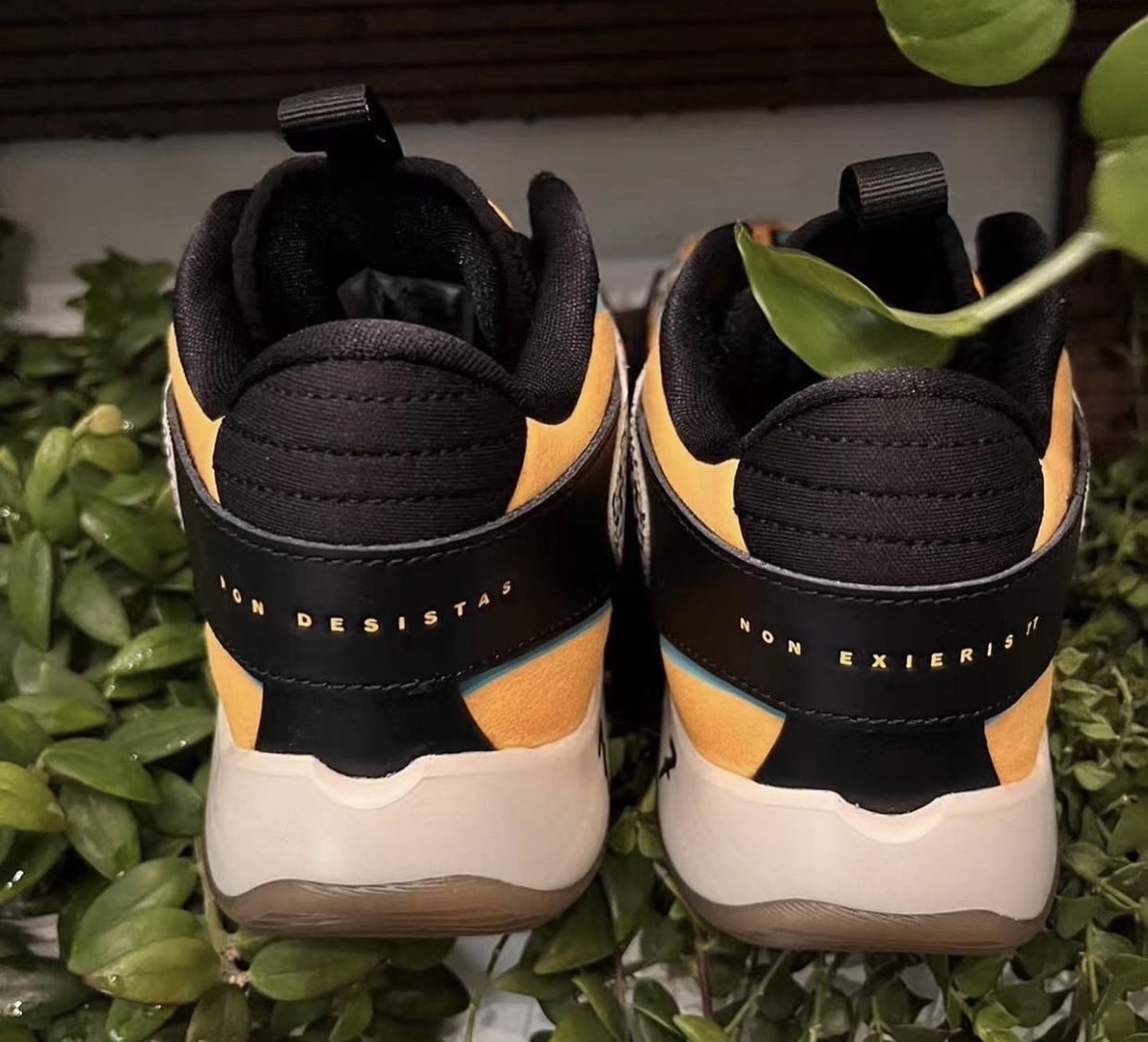 Jordan Luka 2 Safari Heels