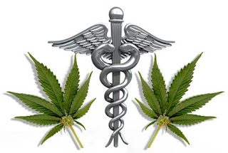 Medical_Symbol-leaves.jpg