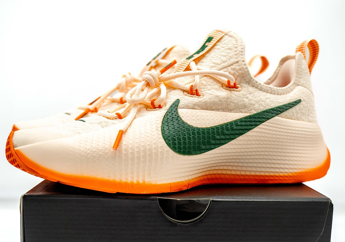 nike-lebron-tr1-famu-pe-3.jpg