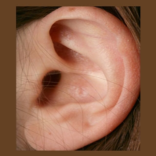 ear-001.JPG