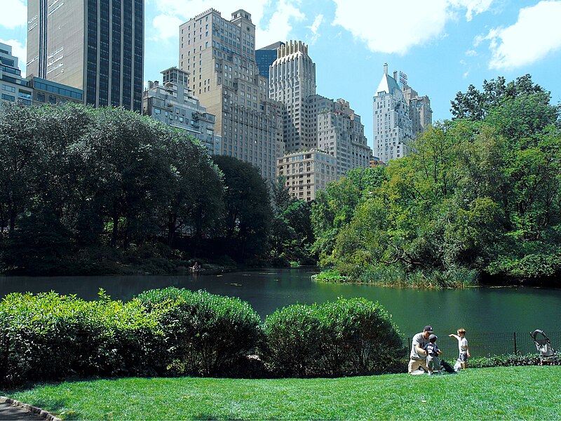 800px-Lower_Central_Park_Shot_5.JPG