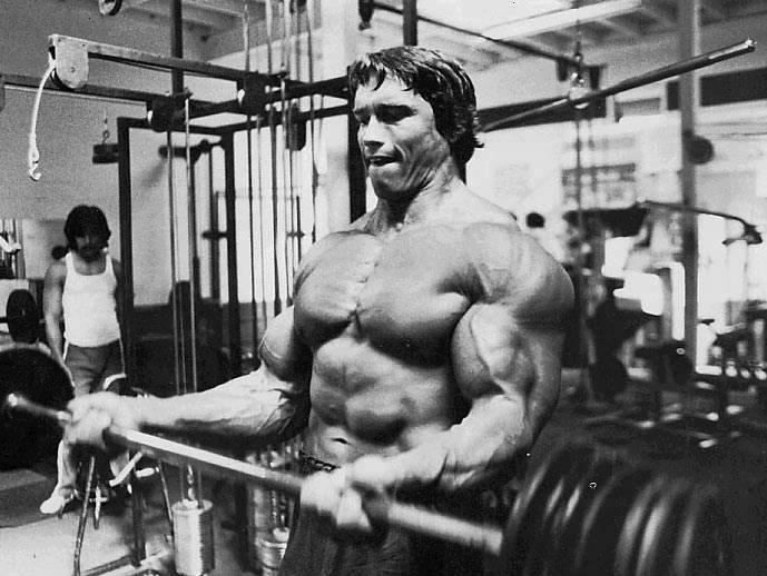 arnold48.jpg