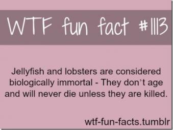 1360143655-WTF-Fun-Fact.jpg