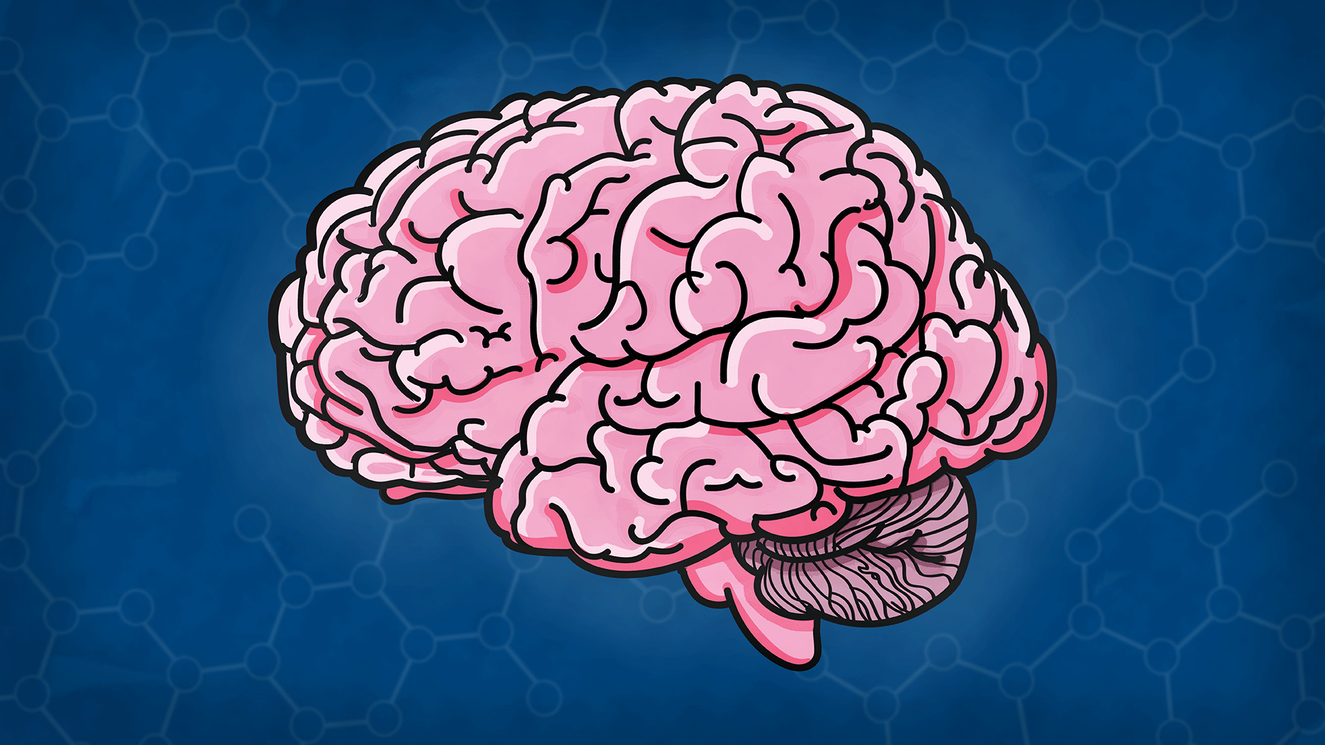 Brain_illustration.png