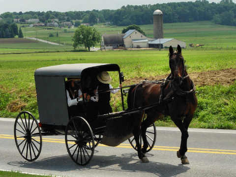 amish.jpg