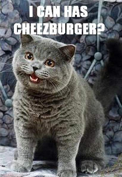 i-can-has-cheezburger.jpg