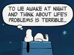 0b9f043746a56fc23d7c2af360509f3e--peanuts-quotes-snoopy-quotes.jpg