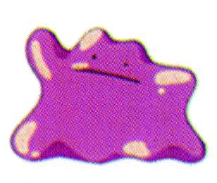 ditto.jpg