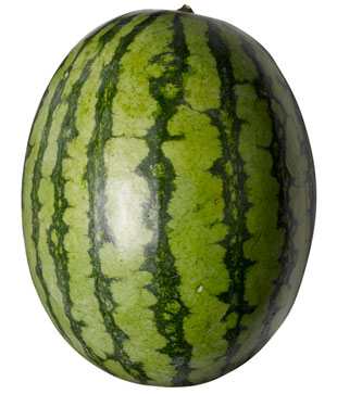 ttar_watermelon_01_v_launch.jpg