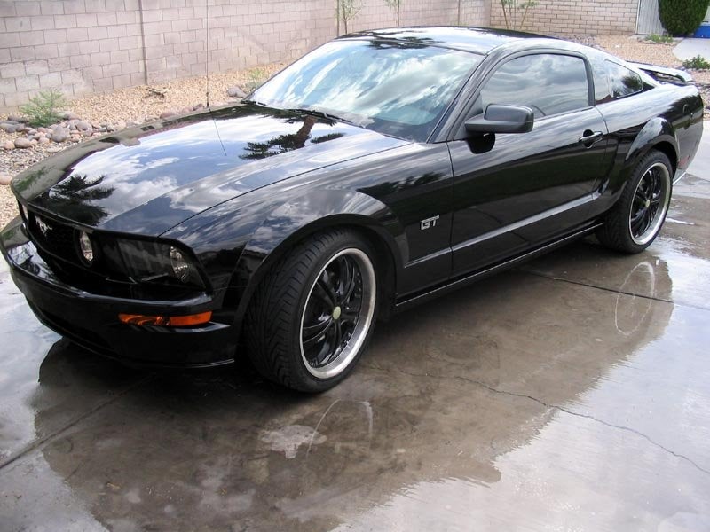 18431d1154796738-black-mustang-owners-inside-reflection1.jpg