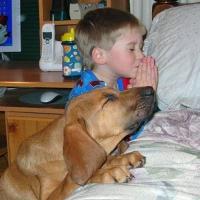 child-and-dog-praying.jpg