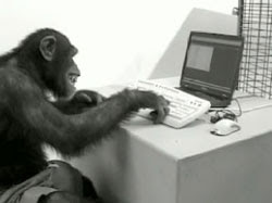 Computer%252520monkey.jpg