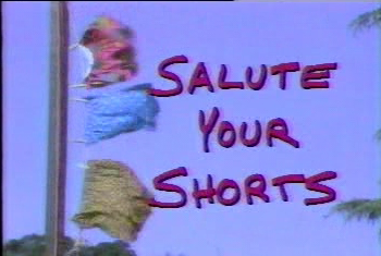 SaluteYOurShorts.png