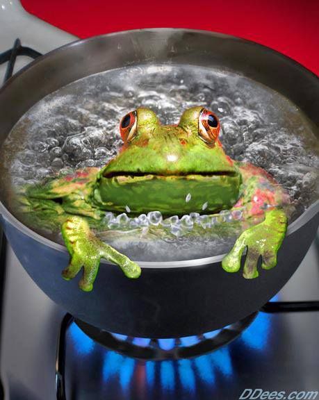 5272ed09810a21b96d1e7cc2cad49da0--boiling-frog-piece-of-cakes.jpg