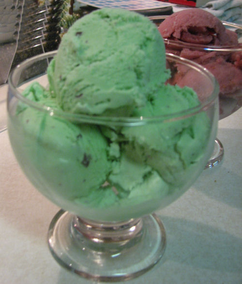 2008-07-07_Mint_Chocolate_Chip_Ice_Cream.jpg