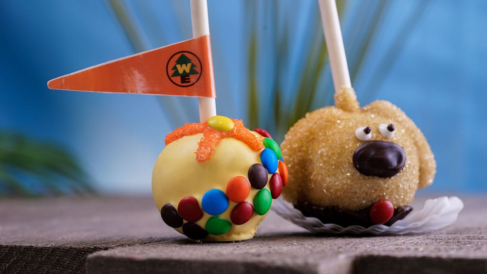 Dug Cake Pop and Russell Cake Pop