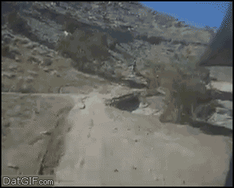 ETPsTLG.gif