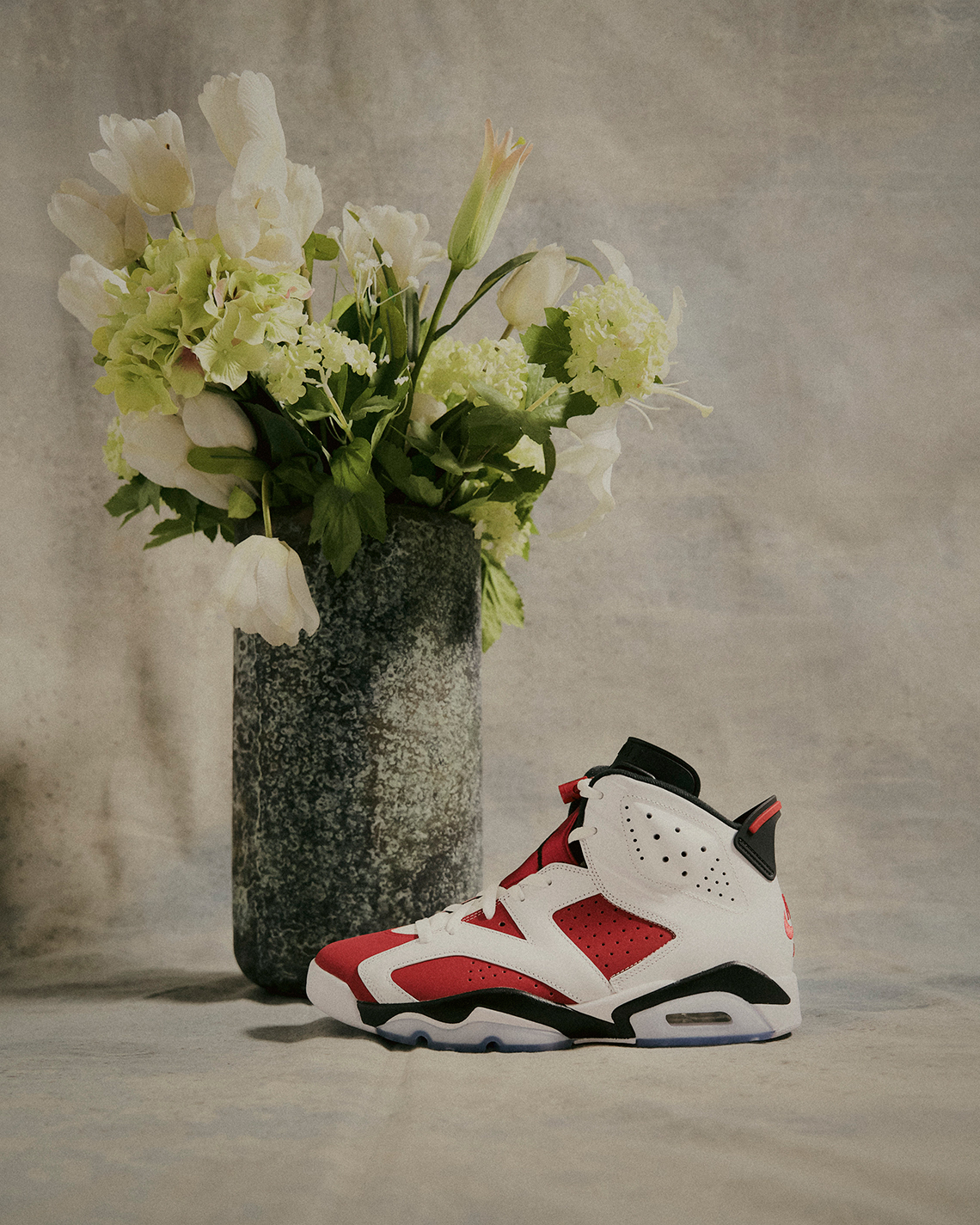 jordan-6-carmine-4.jpg