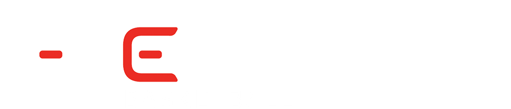 ecoachbasketball.com