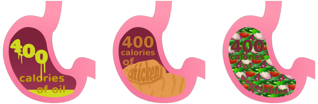 Stomach-Graphic-copy-1024x337.png