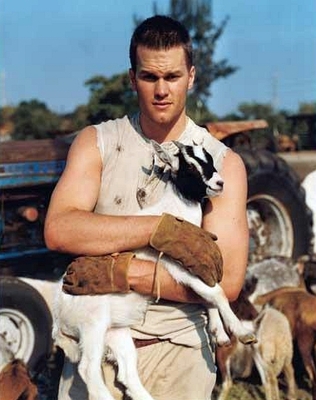 goat-picture_display_image.jpg