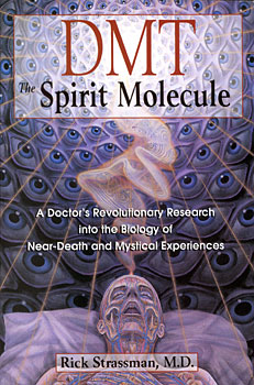 dmt_spirit_molecule.jpg