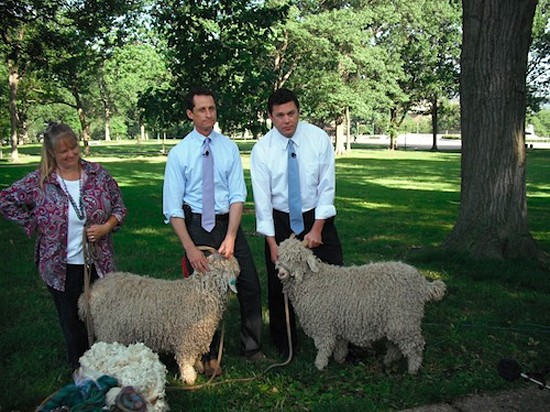 anthony_weiner_attacked_by_goat-550x412.jpg