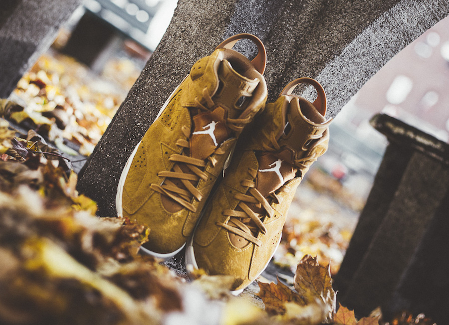 air-jordan-6-wheat-on-feet-3.jpg